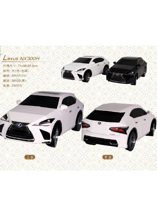 紙紮汽車 仿真Lexus NX300H (黑/白)