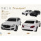 紙紮汽車 仿真賓士C300 (黑/白)